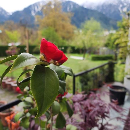 Premier Pahalgam Hotel Exterior foto