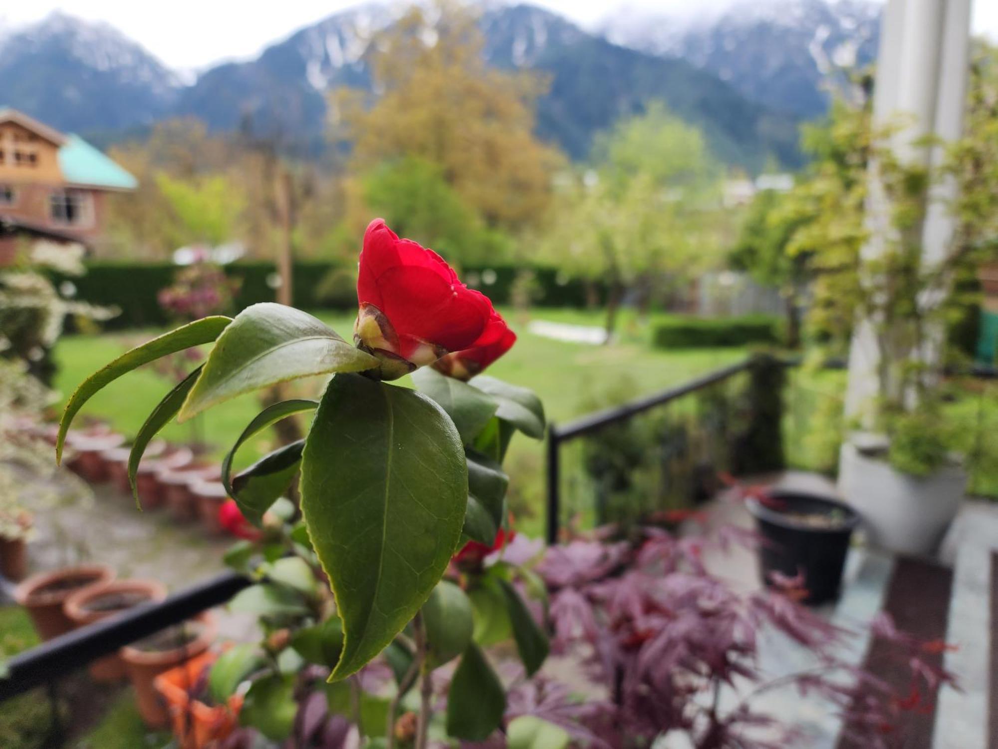Premier Pahalgam Hotel Exterior foto
